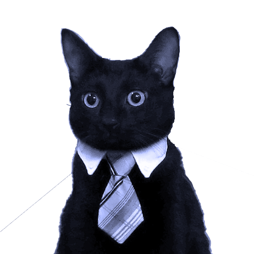 business cat logon odv